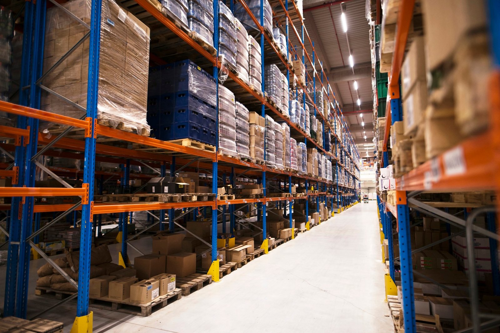 Best Wholesale Supplier for Your Business
